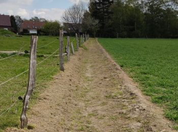 Excursión Senderismo Juprelle - Villers Saint Siméon - Lantin - Liers - Villers Saint Siméon  - Photo