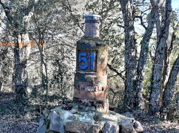 Tocht Stappen Roquebrune-sur-Argens - Autour de la Maurette (variante) - Photo