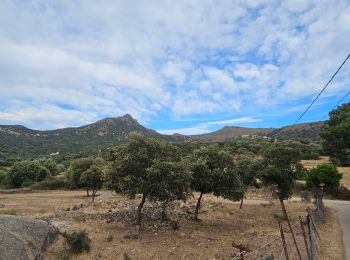 Excursión Senderismo Pigna - pigna- corbara - Photo