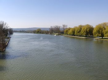 Tocht Stappen Boran-sur-Oise - randonnée abbaye de Royaumont - Photo