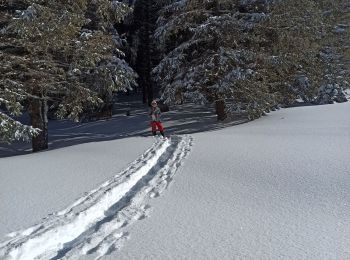 Tour Schneeschuhwandern La Pesse - L'Embossieux - Les Planes - Photo