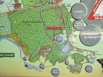 Tocht Stappen Nancy - Nancy Saizeray Jaillon Pierre la Treiche Marion Nancy  - Photo