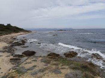 Tocht Stappen Saint-Tropez - Sentier côtier  Presqu'ile de Saint Tropez - Boucle - Photo