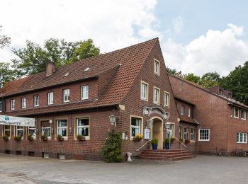 Tocht Te voet Dülmen - Große Teichsmühle Rundweg A3 - Photo