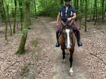 Tour Reiten Habich - Les 4 fils saumon à cheval - Photo