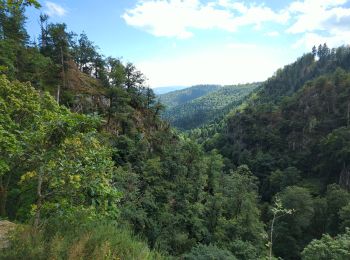 Tour Wandern Oberhaslach - cascade du Nideck - Photo