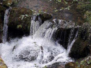 Tocht Stappen Pranles - chirouze - Photo