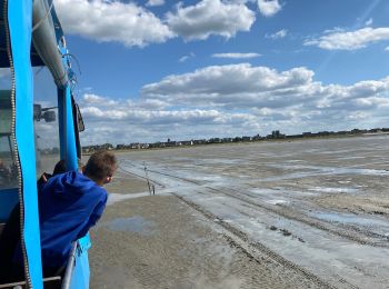 Randonnée Marche Le Vivier-sur-Mer - Vivier sur mer ballade pour les huîtres - Photo