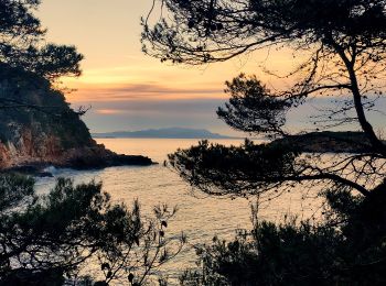 Tocht Stappen Bandol - Boucle Bandol - Port d'Alon - Dune de sable - La Madrague - Port d'Alon - Bandol - Photo