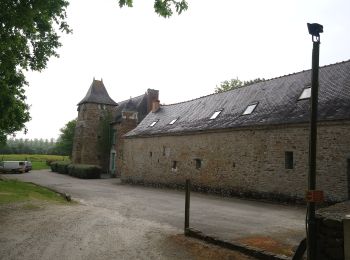 Tocht Te voet Joué-sur-Erdre - Le Rigole des Ajaux - Photo