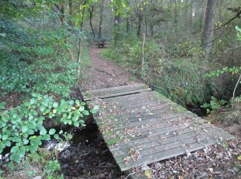 Tocht Te voet Hamminkeln - Klausenhof Rundweg A4 - Photo