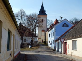 Percorso A piedi Lomnice nad Lužnicí - naučná stezka Velký lomnický - Photo