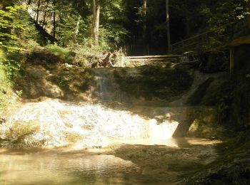 Percorso A piedi Ebenau - Mühlenwanderweg - Photo