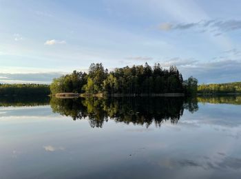 Trail On foot  - Åkulla bokskogar - Yasjöstigen - Photo