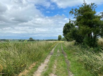 Tour Wandern Heuvelland - Nieuwekerke Bailleul 17,5 km - Photo