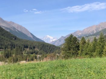 Trail Nordic walking Cogne - Cogne Lilaz - Photo
