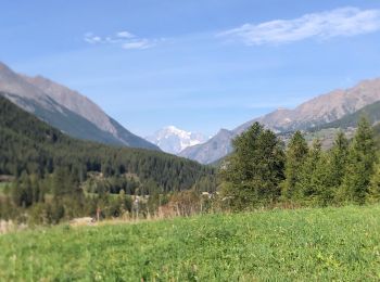 Tour Nordic Walking Cogne - Cogne Lilaz - Photo