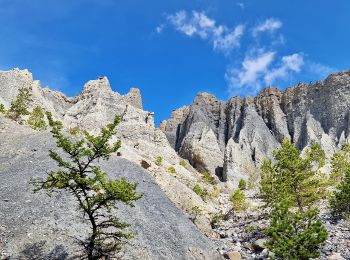 Tour Wandern Espinasses - Sentier des 30 pas Départ Espinasses - Photo