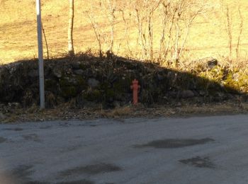 Tour Zu Fuß Bagolino - Bagolino - Giogo del Maniva - Photo