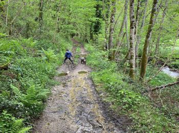 Tocht Stappen Camboulazet - Le ruisseau en botte - Photo