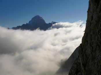 Trail On foot Tarvisio - IT-520 - Photo
