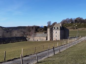 Tocht Elektrische fiets Neuvéglise-sur-Truyère - la Chaldette - Photo