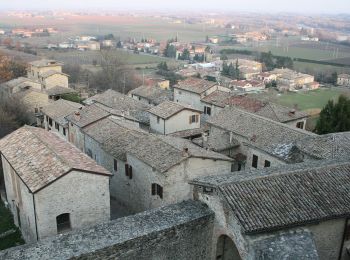 Tocht Te voet Langhirano - Bivio 700 di Strognano - Casatico - Torrechiara - Photo