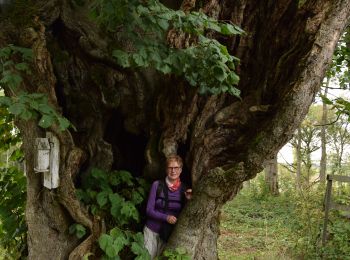 Trail Walking Mettet - RB-Na-23 - Biesmerée - Via raccourci - 2025-08-07 - Photo