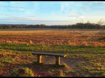 Tocht Te voet Broadland - Aylsham Circular - Photo