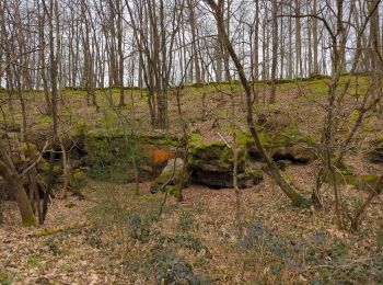 Randonnée Marche Châteaufort - Villiers le bacle - Photo