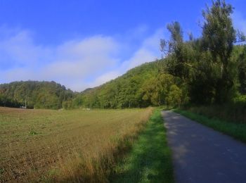 Randonnée V.T.T. Durbuy - VTT autour des villages de Durbuy. - Photo