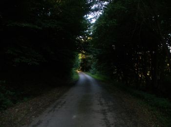 Percorso A piedi Dédestapolcsány - Verebec-tető tanösvény - Photo