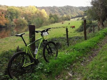 Excursión Bici de montaña Maizet - Mon parcours - Photo