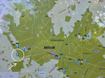 Randonnée Marche Vaals - Vijlenerbos  - 100% 🌲🌳 - Photo