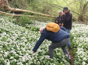 Randonnée Marche Saint-Pierre-de-Varengeville - SPDV-Barentin L'ail des Ours - Photo