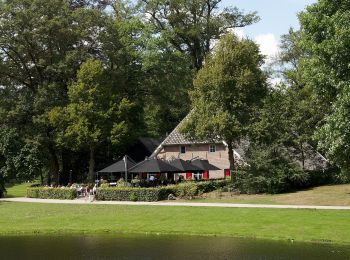 Excursión A pie Arnhem - Dwars door Gelderland (13) - Photo