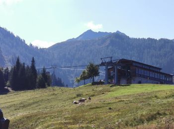 Tour Zu Fuß Marktgemeinde Fieberbrunn - [12] Fieberbrunn Jägersteig - Photo