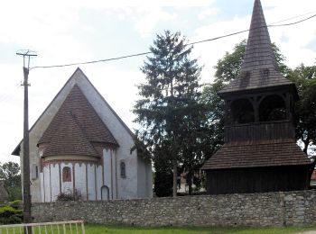 Tour Zu Fuß Szalonna - Z+ Nagy-Pallag - Szalonna - Photo