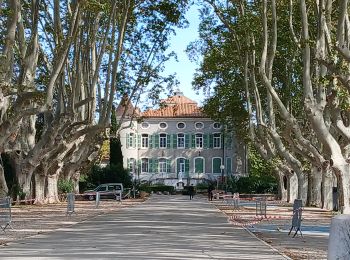 Percorso Marcia Solliès-Ville - Domaine de la Castille-20-09-2024 - Photo