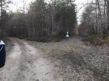 Tour Wandern La Chapelle-Enchérie - balade la chapelle en encherie - Photo