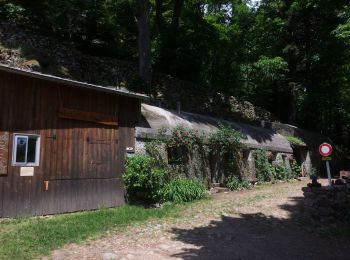 Randonnée Marche Wattwiller - Wattwiller-Cantine Zeller-Hirtzenstein - Photo