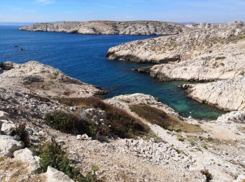 Randonnée Marche Marseille - Îles de Pomegues. Frioul.  - Photo