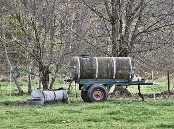 Tour Zu Fuß Würselen - Rundweg A1 - Rund um die Karbonroute - Photo