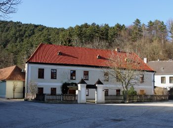 Trail On foot Gemeinde Furth an der Triesting - Hafnerberg - Furth ad Triesting - Photo