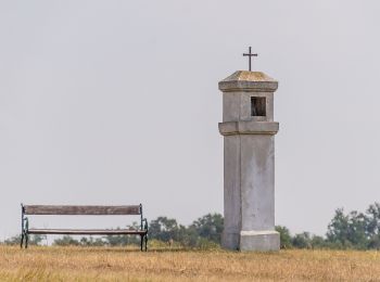 Percorso A piedi Gemeinde Mistelbach - Kettlasbrunn: Rundwanderweg Satzer Hölzl - Photo