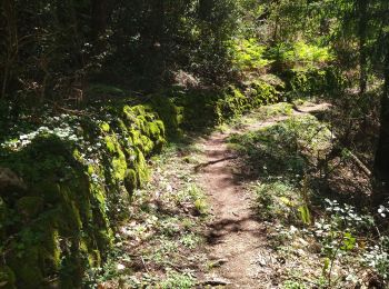 Tour Wandern Saint-Michel-de-Chabrillanoux - 07 st Michel de chabrillanoux 19.05.24 - Photo