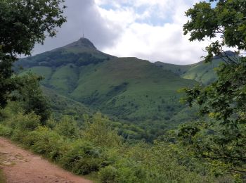 Trail Walking Bera - GR10 Col d'Ibartin - Sare - Photo