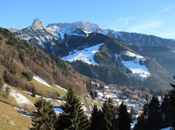 Tocht Te voet Montreux - Sentier des Narcisses - Photo