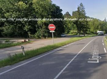 Randonnée Marche Kintzheim - Boucle Aire du Danielsrain en passant à la cabane du pain d'Epice. - Photo