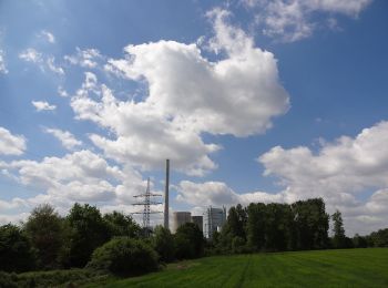 Tocht Te voet  - Bockum-Hövel Rundweg A7 - Photo